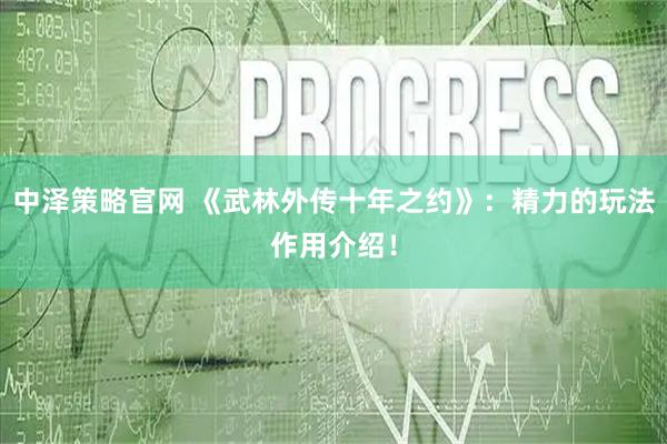 中泽策略官网 《武林外传十年之约》：精力的玩法作用介绍！