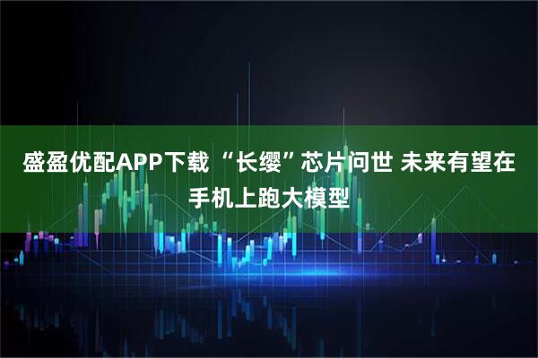 盛盈优配APP下载 “长缨”芯片问世 未来有望在手机上跑大模型