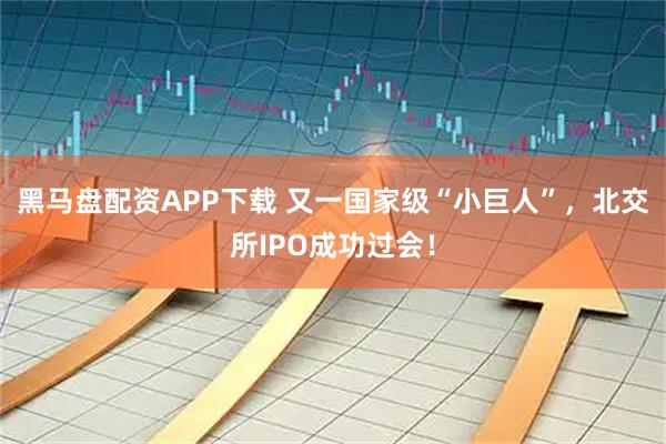 黑马盘配资APP下载 又一国家级“小巨人”，北交所IPO成功过会！