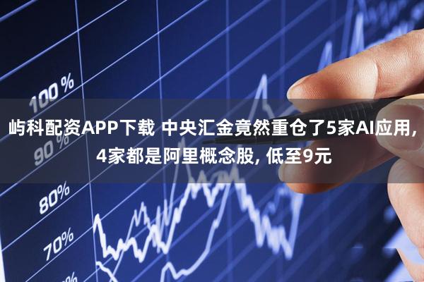 屿科配资APP下载 中央汇金竟然重仓了5家AI应用, 4家都是阿里概念股, 低至9元