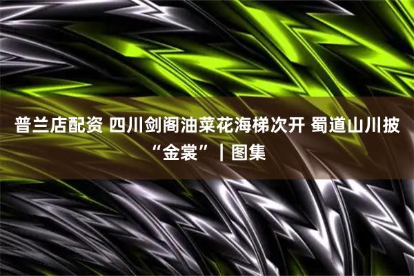 普兰店配资 四川剑阁油菜花海梯次开 蜀道山川披“金裳”｜图集