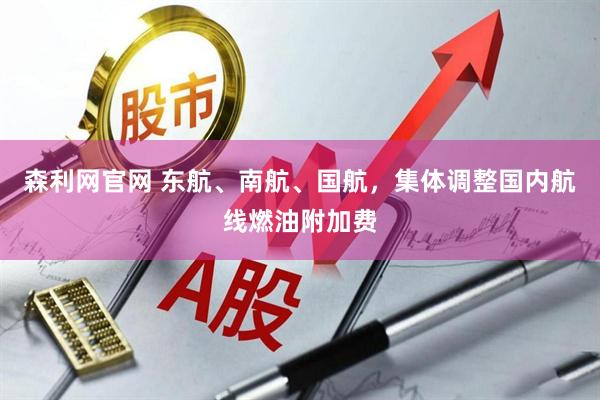 森利网官网 东航、南航、国航，集体调整国内航线燃油附加费