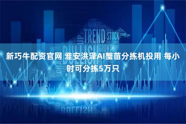 新巧牛配资官网 淮安洪泽AI蟹苗分拣机投用 每小时可分拣5万只