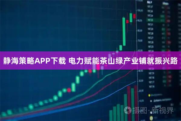 静海策略APP下载 电力赋能茶山绿　产业铺就振兴路