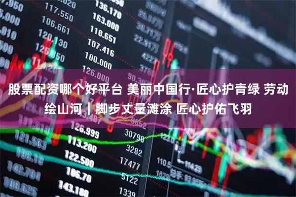 股票配资哪个好平台 美丽中国行·匠心护青绿 劳动绘山河｜脚步丈量滩涂 匠心护佑飞羽